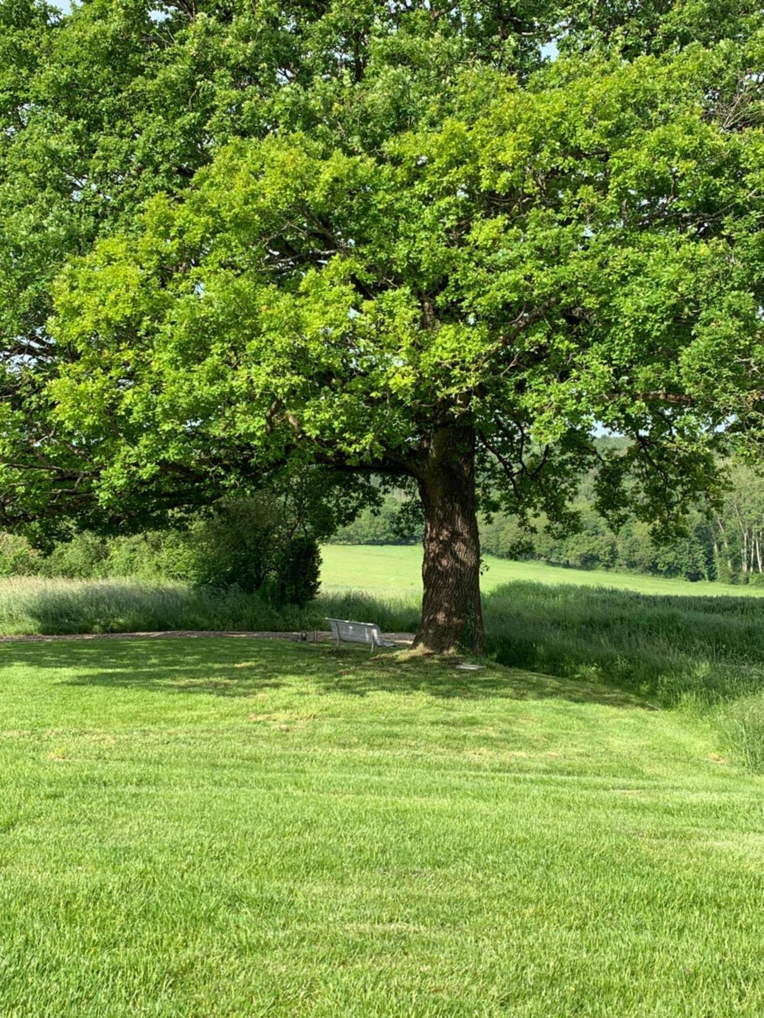 Le Hameau De La Closerie Flere-la-Riviere Zimmer foto